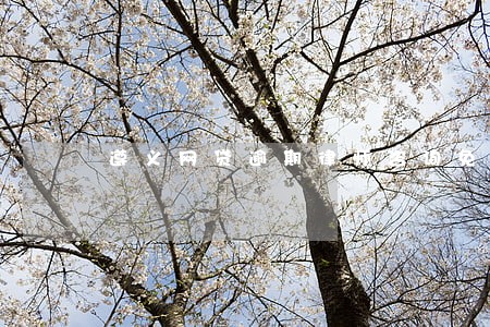 遵义网贷逾期律师咨询免费 遵义网贷逾期律师咨询免费