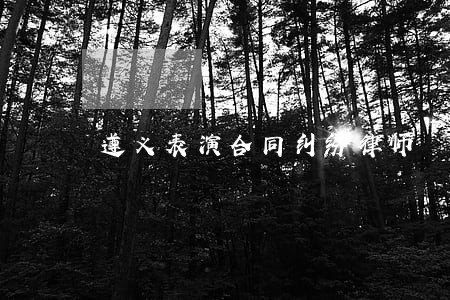 遵义表演合同纠纷律师 遵义表演合同纠纷律师