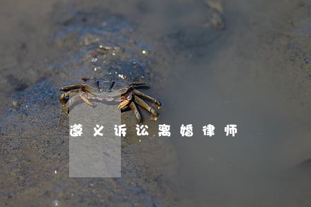 遵义诉讼离婚律师 遵义诉讼离婚律师