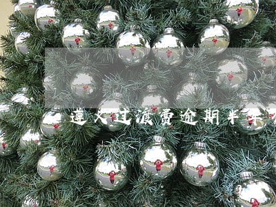 遵义过渡费逾期半年不发怎么办 遵义过渡费逾期半年不发怎么办