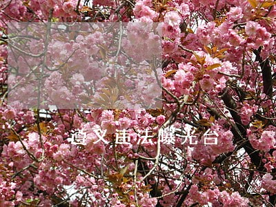 遵义违法曝光台