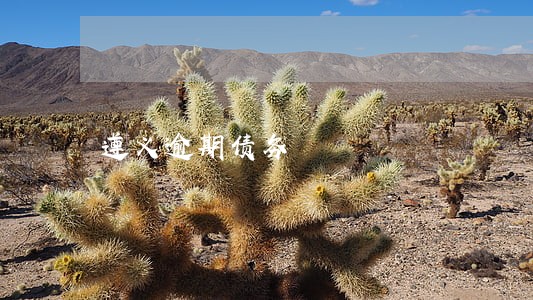 遵义逾期债务 遵义逾期债务