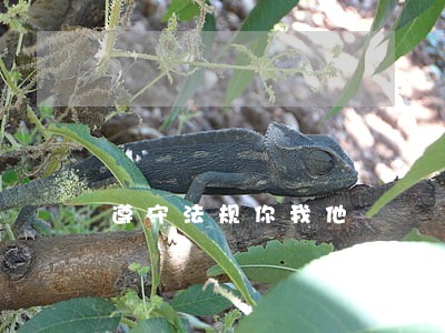 遵守法规你我他 遵守法规你我他