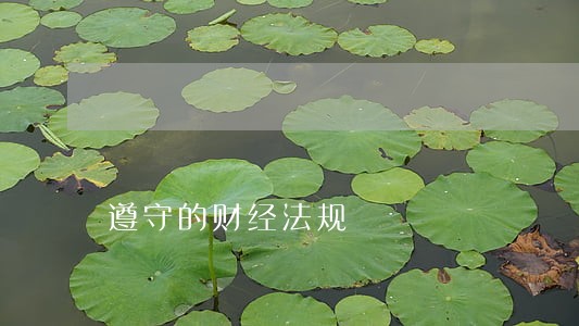 遵守的财经法规 遵守的财经法规