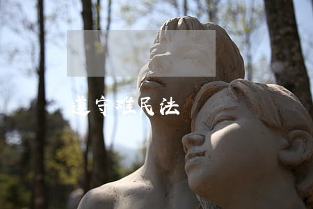 遵守难民法 遵守难民法