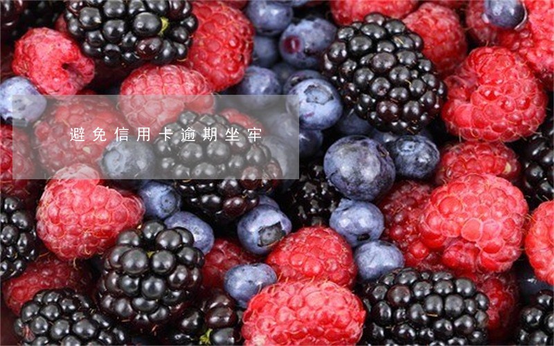 避免信用卡逾期坐牢 避免信用卡逾期坐牢