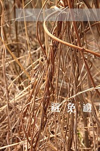 避免逾期怎么解决 避免逾期怎么解决