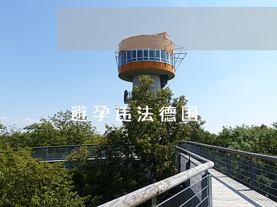 避孕违法德国 避孕违法德国