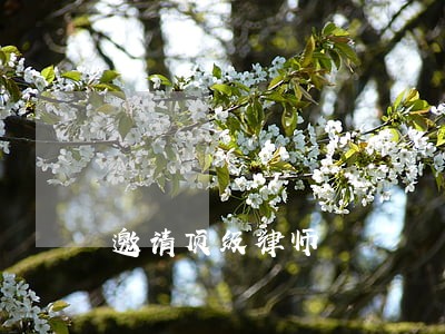 邀请顶级律师 邀请顶级律师