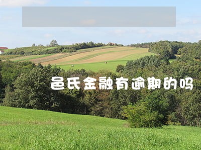 邑氏金融有逾期的吗 邑氏金融有逾期的吗