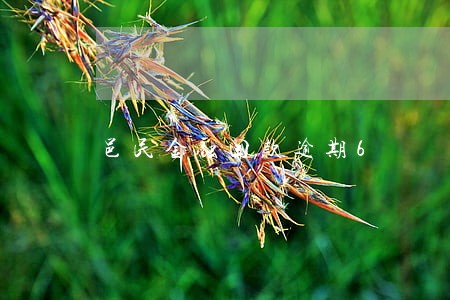 邑民金融回款逾期6 邑民金融回款逾期6