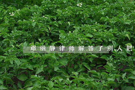 邓丽静律师解答了别人把我车撞了 邓丽静律师解答了别人把我车撞了