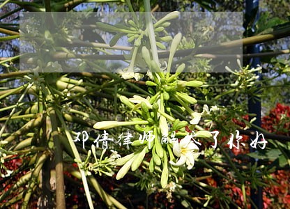 邓倩律师解答了你好 邓倩律师解答了你好