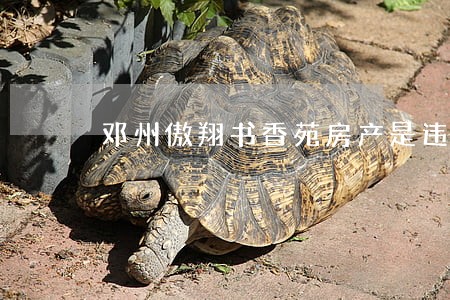 邓州傲翔书香苑房产是违法建筑吗 邓州傲翔书香苑房产是违法建筑吗