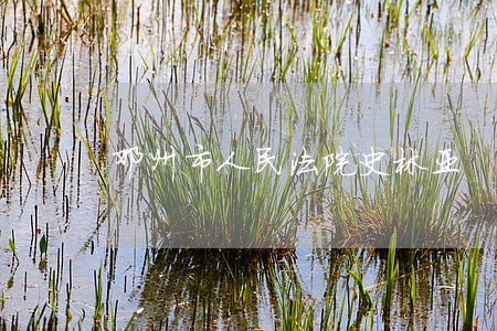 邓州市人民法院史林亚