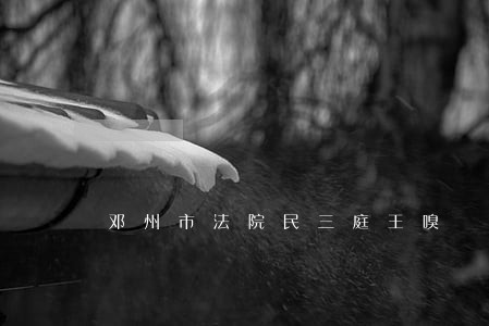 邓州市法院民三庭王嗅