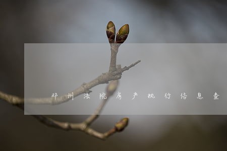 邓州法院房产执行信息查询 邓州法院房产执行信息查询