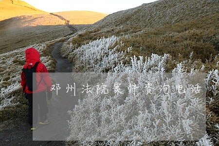 邓州法院案件资询电话