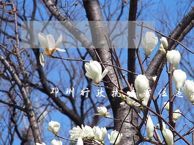 邓州行政执法单位违法违规咋办 邓州行政执法单位违法违规咋办