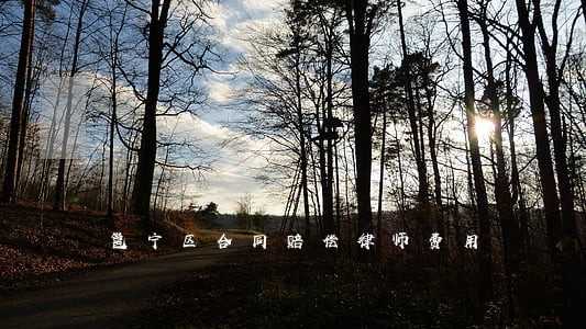 邕宁区合同赔偿律师费用 邕宁区合同赔偿律师费用