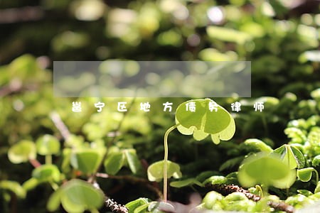 邕宁区地方债务律师 邕宁区地方债务律师