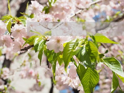 邗江区法律援助中心 邗江区法律援助中心