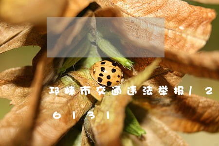 邛崃市交通违法举报/2023020896131 邛崃市交通违法举报/2023020896131