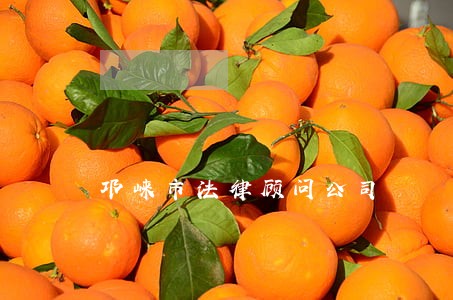 邛崃市法律顾问公司 邛崃市法律顾问公司