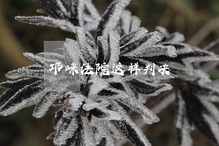 邛崃法院这样判决 邛崃法院这样判决
