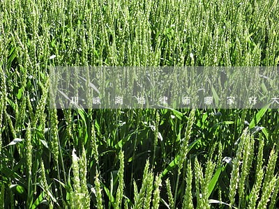 邛崃离婚律师哪家好大邑 邛崃离婚律师哪家好大邑
