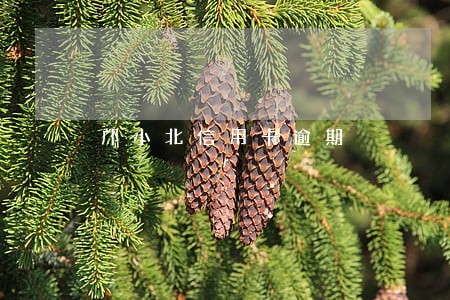 邝小北信用卡逾期