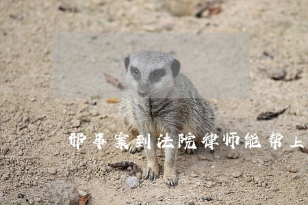 邢事案到法院律师能帮上什么忙 邢事案到法院律师能帮上什么忙