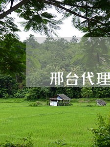邢台代理刑事律师法律服务 邢台代理刑事律师法律服务