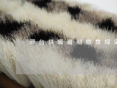 邢台供暖逾期缴费规定 邢台供暖逾期缴费规定