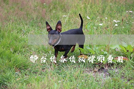 邢台债务债权律师费用 邢台债务债权律师费用