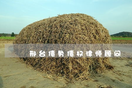 邢台债务债权律师顾问 邢台债务债权律师顾问