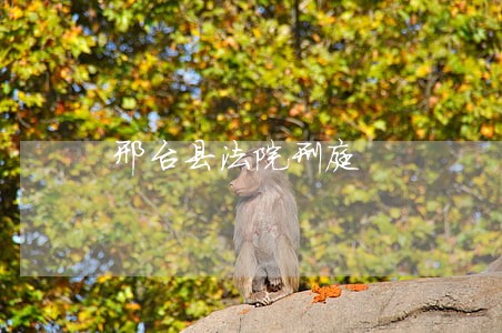 邢台县法院刑庭