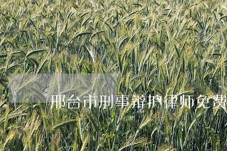 邢台市刑事辩护律师免费法律咨询