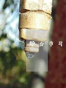 邢台市司法局长 邢台市司法局长