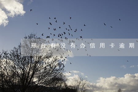 邢台有没有办信用卡逾期的 邢台有没有办信用卡逾期的