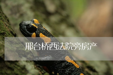 邢台桥西法院旁房产