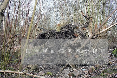 邢台民间债务纠纷律师在线咨询 邢台民间债务纠纷律师在线咨询