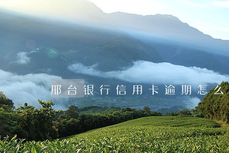邢台银行信用卡逾期怎么处理 邢台银行信用卡逾期怎么处理