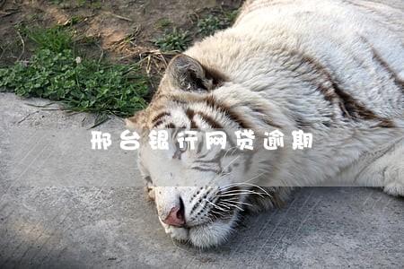 邢台银行网贷逾期 邢台银行网贷逾期