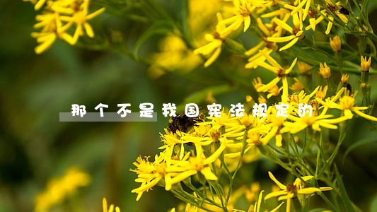 那个不是我国宪法规定的 那个不是我国宪法规定的