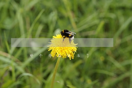 那个作品违法了 那个作品违法了