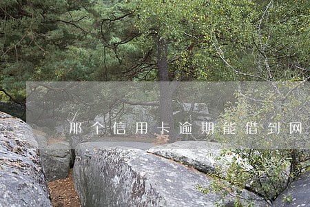 那个信用卡逾期能借到网贷的 那个信用卡逾期能借到网贷的