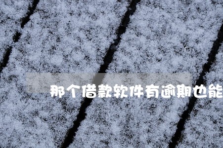 那个借款软件有逾期也能借 那个借款软件有逾期也能借