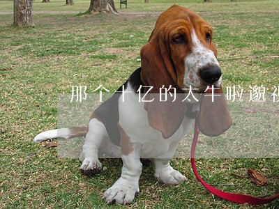 那个十亿的太牛啦邈视法规 那个十亿的太牛啦邈视法规