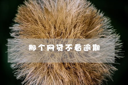 那个网贷不看逾期 那个网贷不看逾期